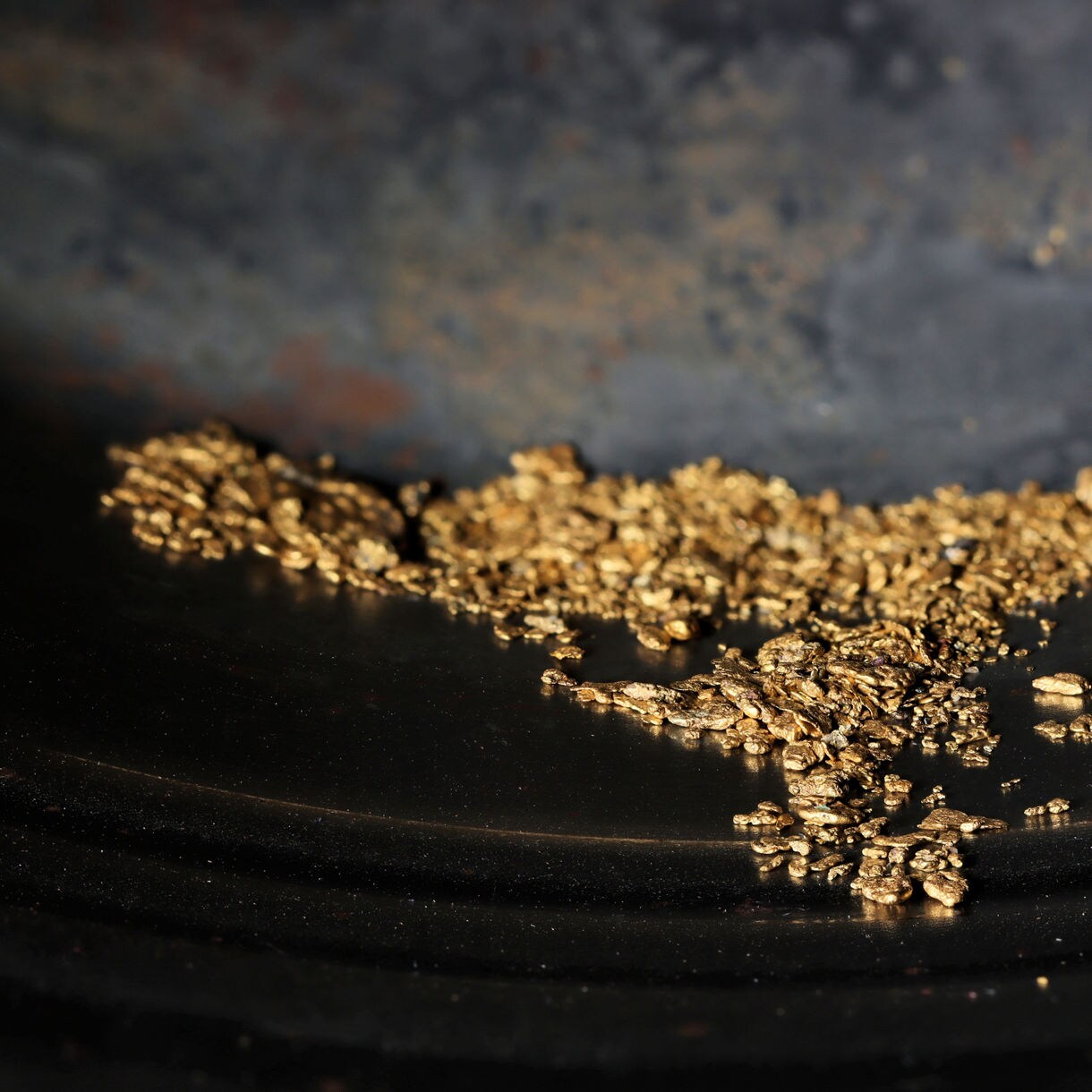 Close-up of bright gold flakes and nuggets collected in a black pan during a gold panning experience, with wet surfaces and warm sunlight adding a glint to the scene.