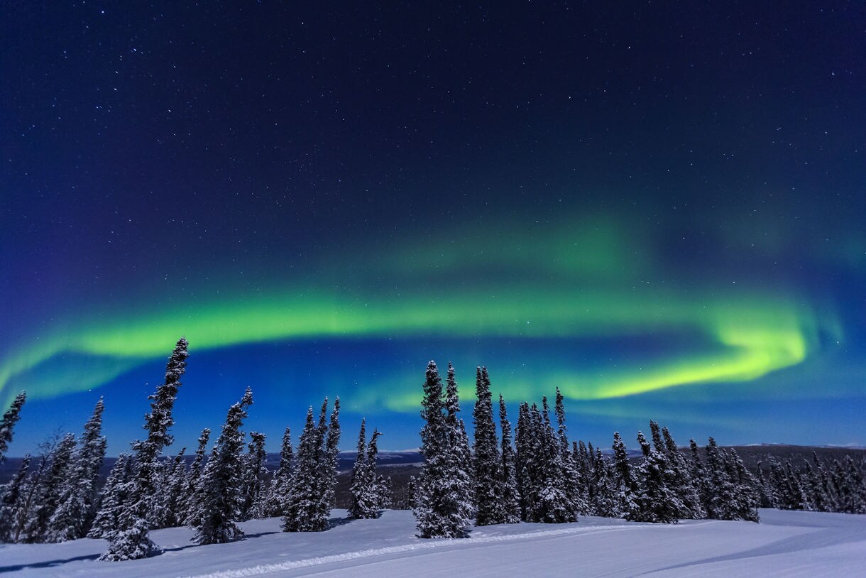Bright green aurora borealis lighting up the night sky above snow-covered pine trees in Fairbanks, Alaska, with stars visible across the dark blue sky.
