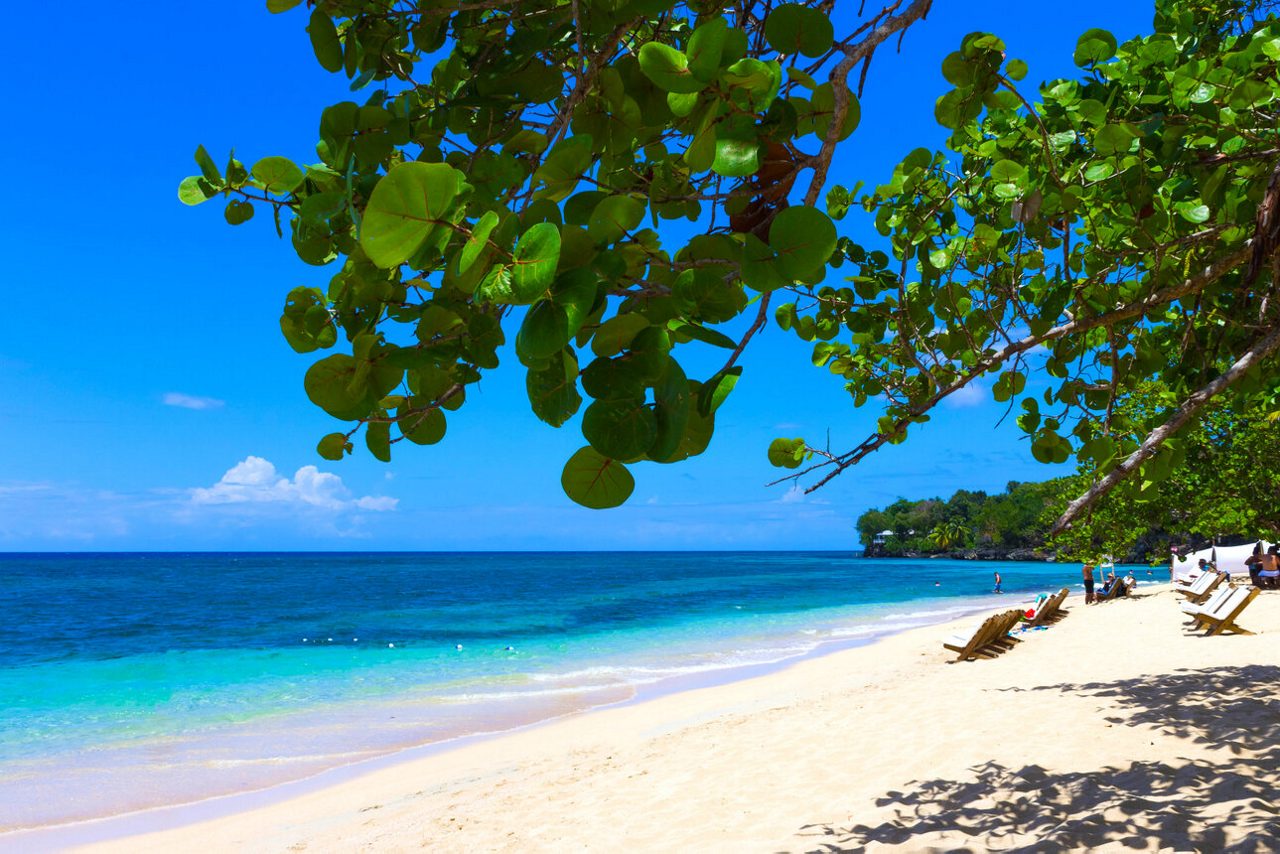 A sunny beach lined with lounge chairs and leafy trees, with gentle waves meeting soft golden sand and people relaxing or swimming near a lush, forested shoreline.