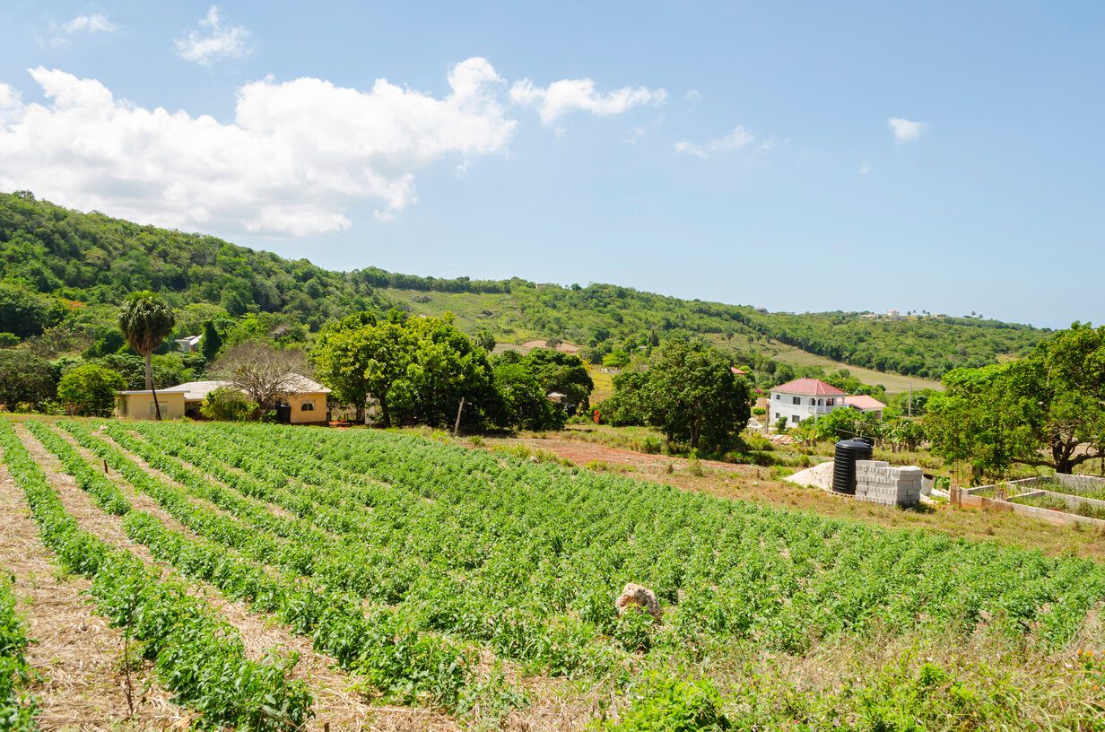 A scenic view of farmland with neat rows of crops in the foreground, surrounded by green hills, trees and scattered homes under a sunny blue sky.