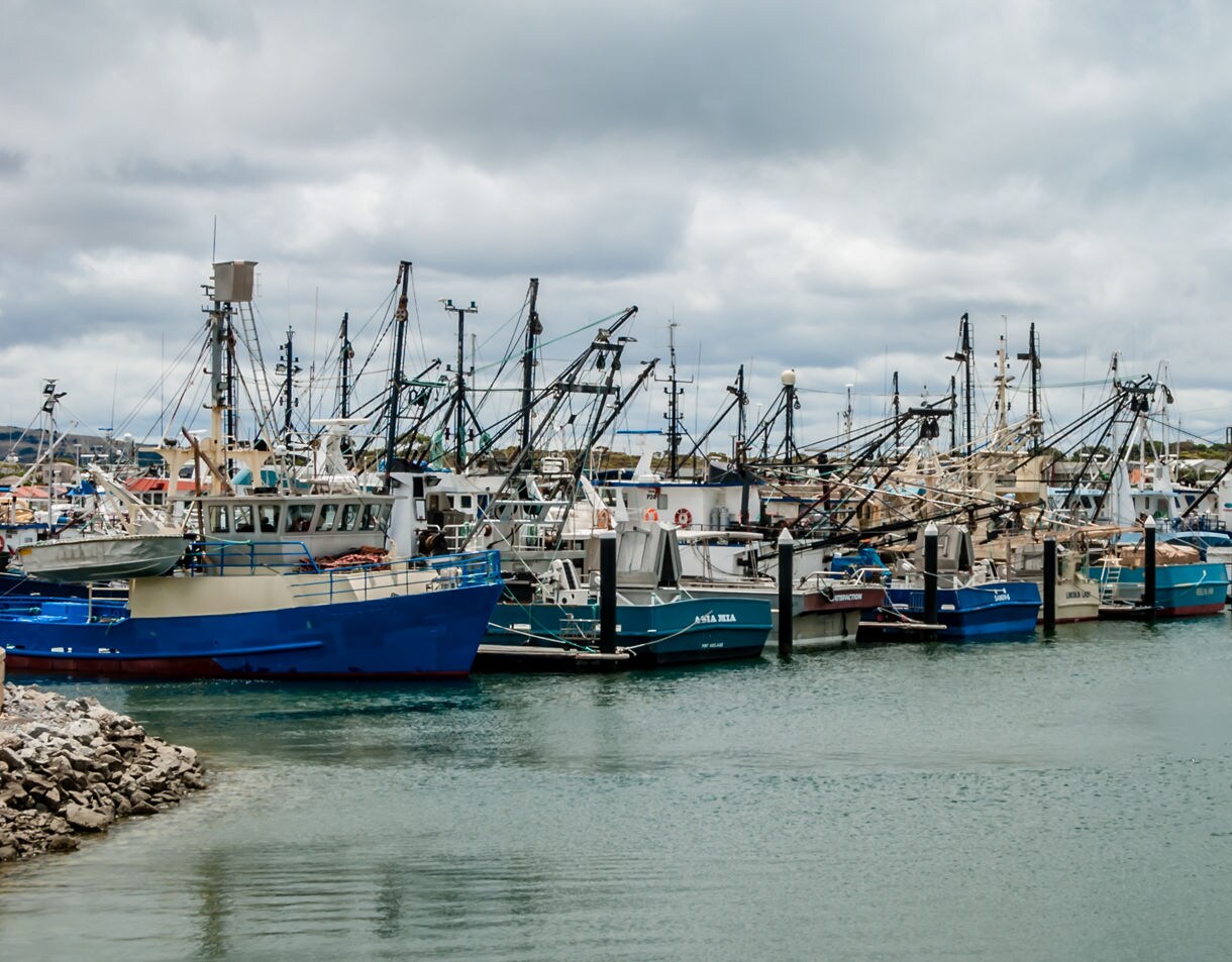 A row of fishing boats docked in a harbor under a cloudy sky, with masts and rigging clustered together and calm water in the foreground.