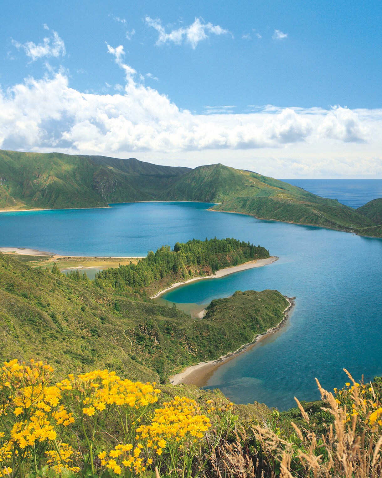 A breathtaking view of a serene lake nestled within a mountainous landscape. Bright yellow wildflowers in the foreground add vibrancy to the scene. The clear blue sky with scattered clouds enhances the natural beauty of the setting. The image captures the tranquility and untouched charm of the location.