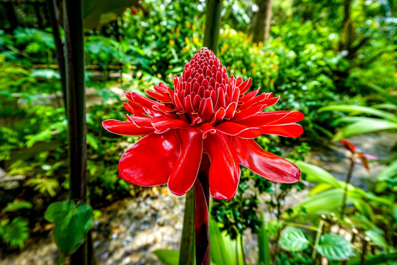Warm Mineral Baths & Garden Tour