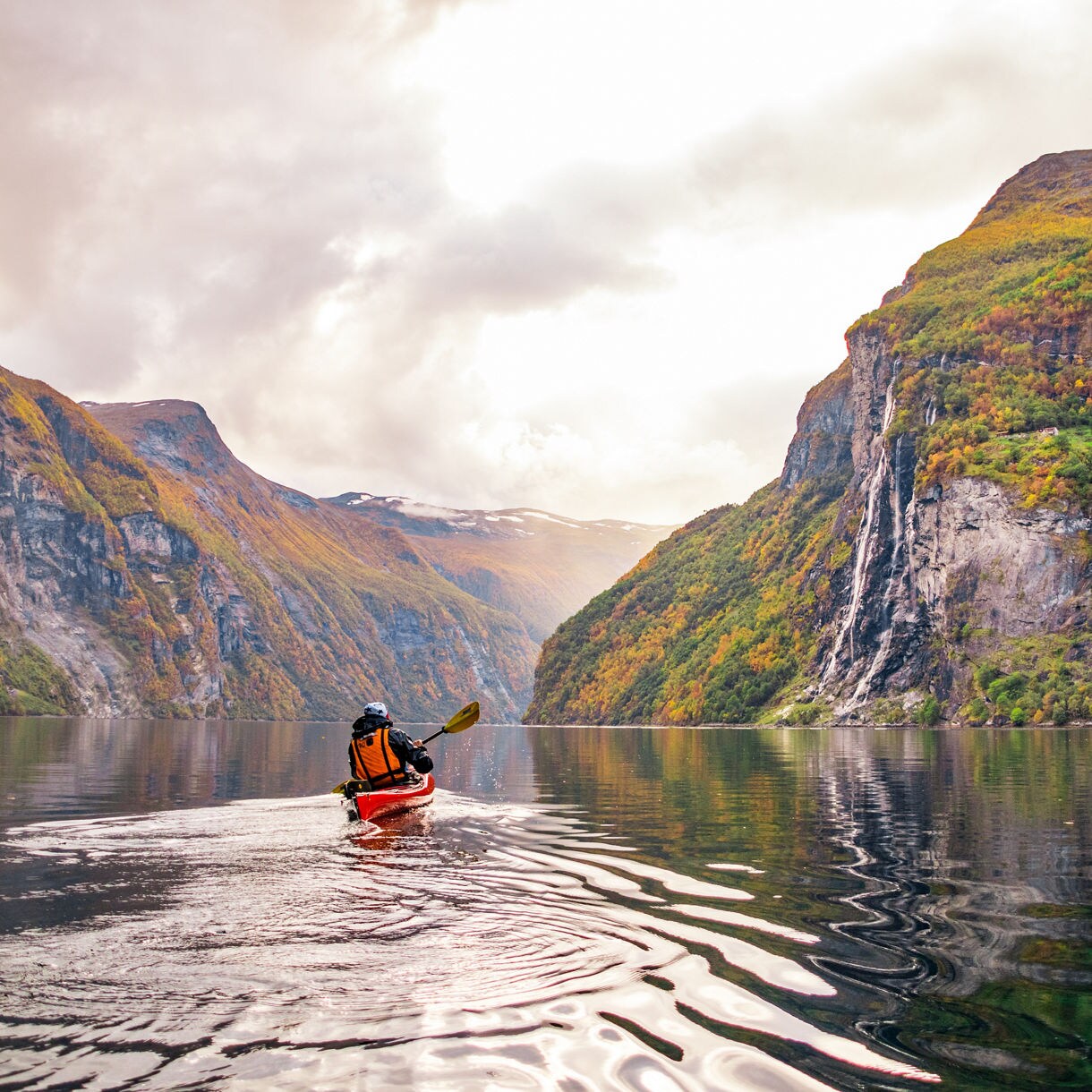 Set of 10 Art Postcards of Kayakers and New England Wildlife 