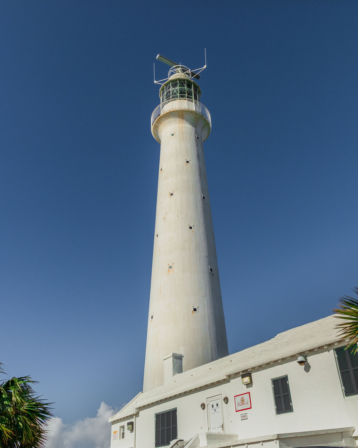 Tall white Gibbs Hill Lighthouse rising into a clear blue sky, with a white keeper’s house and palm trees at the base.