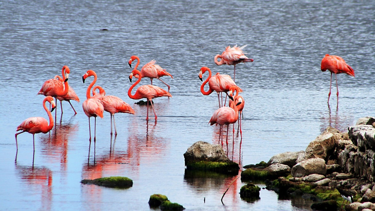 Bonaire, Caribbean Netherlands