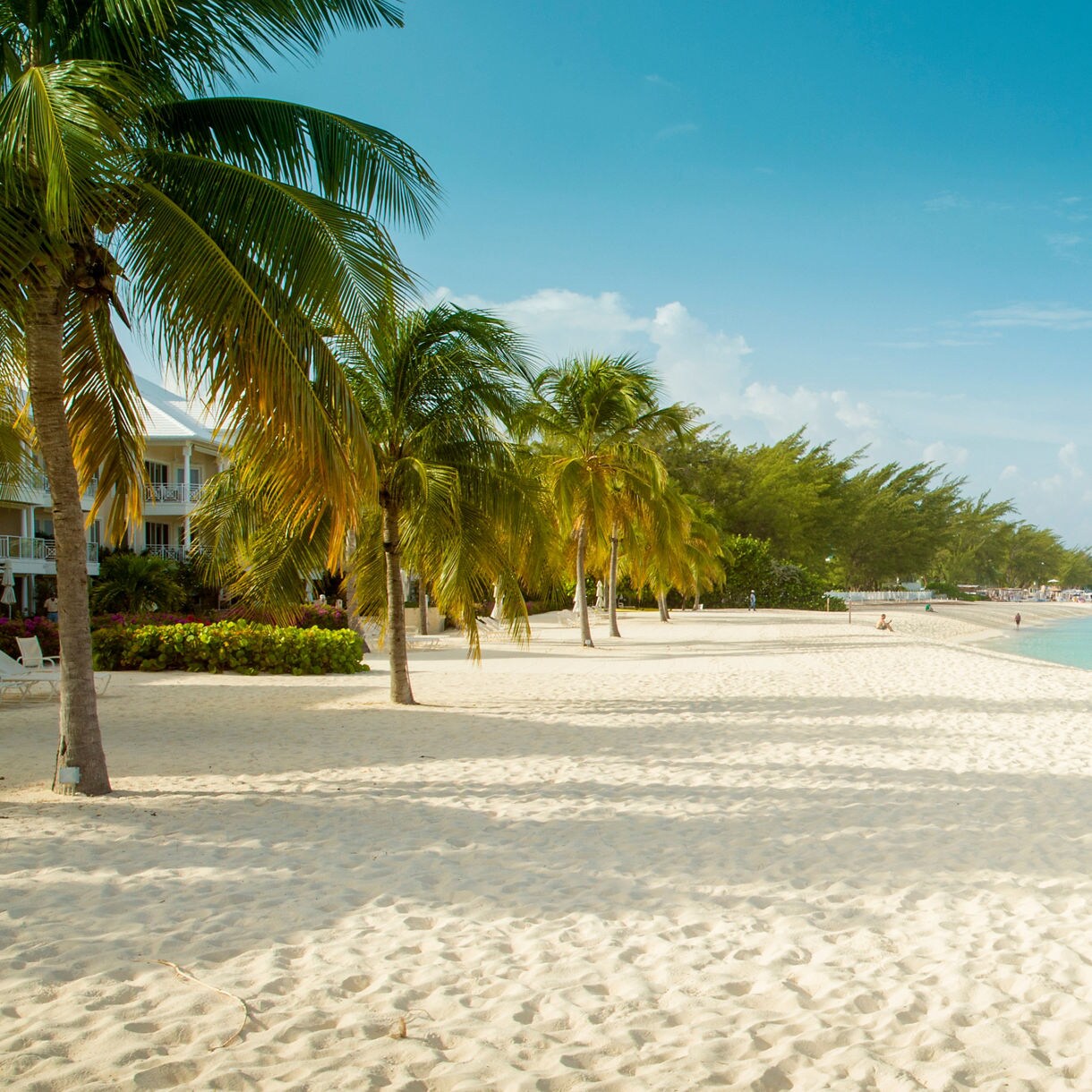 A serene view of Grand Cayman's Seven Mile Beach, with powdery white sand, swaying palm trees and turquoise waters stretching to the horizon.