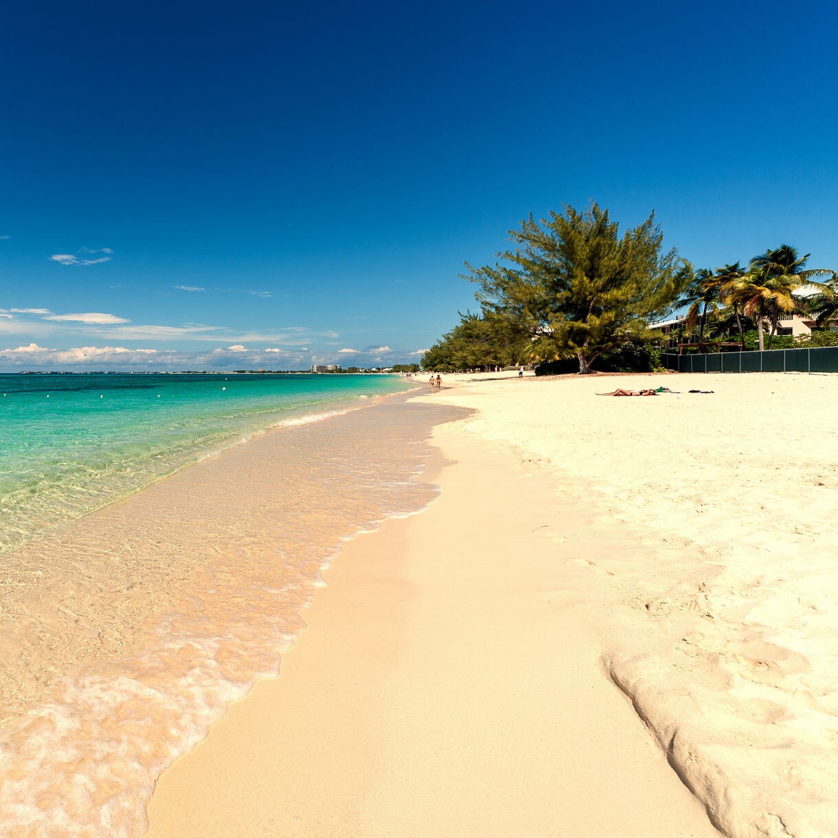 grand cayman caribbean seven miles beach empty