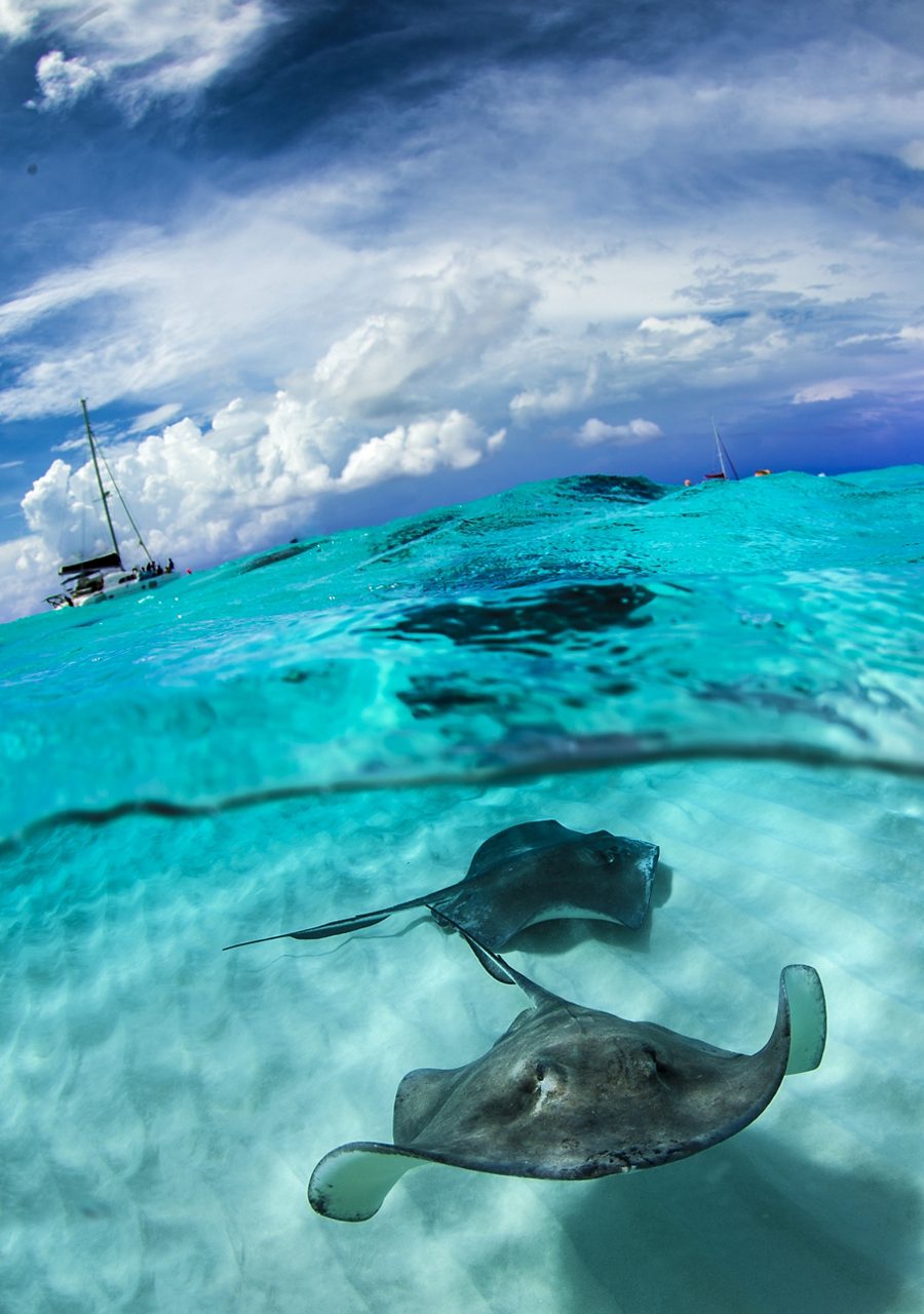 Two stingrays swimming gracefully underwater in the clear turquoise waters of Grand Cayman, with a sailboat visible on the surface and a dramatic sky above.