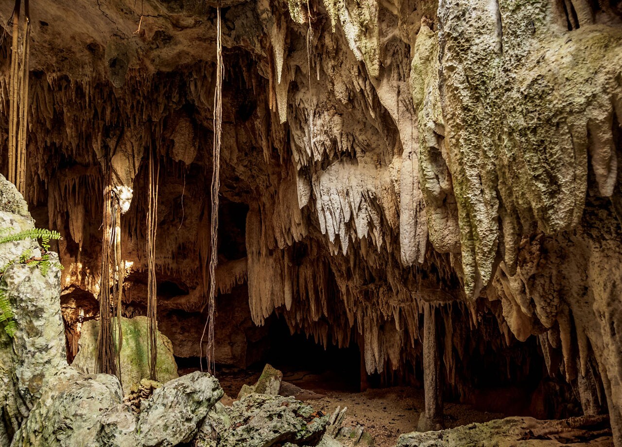 A view from inside Grand Cayman's Crystal Caves, showcasing jagged stalactites hanging from the rocky ceiling, with sunlight filtering through a natural opening and lush green foliage visible above.