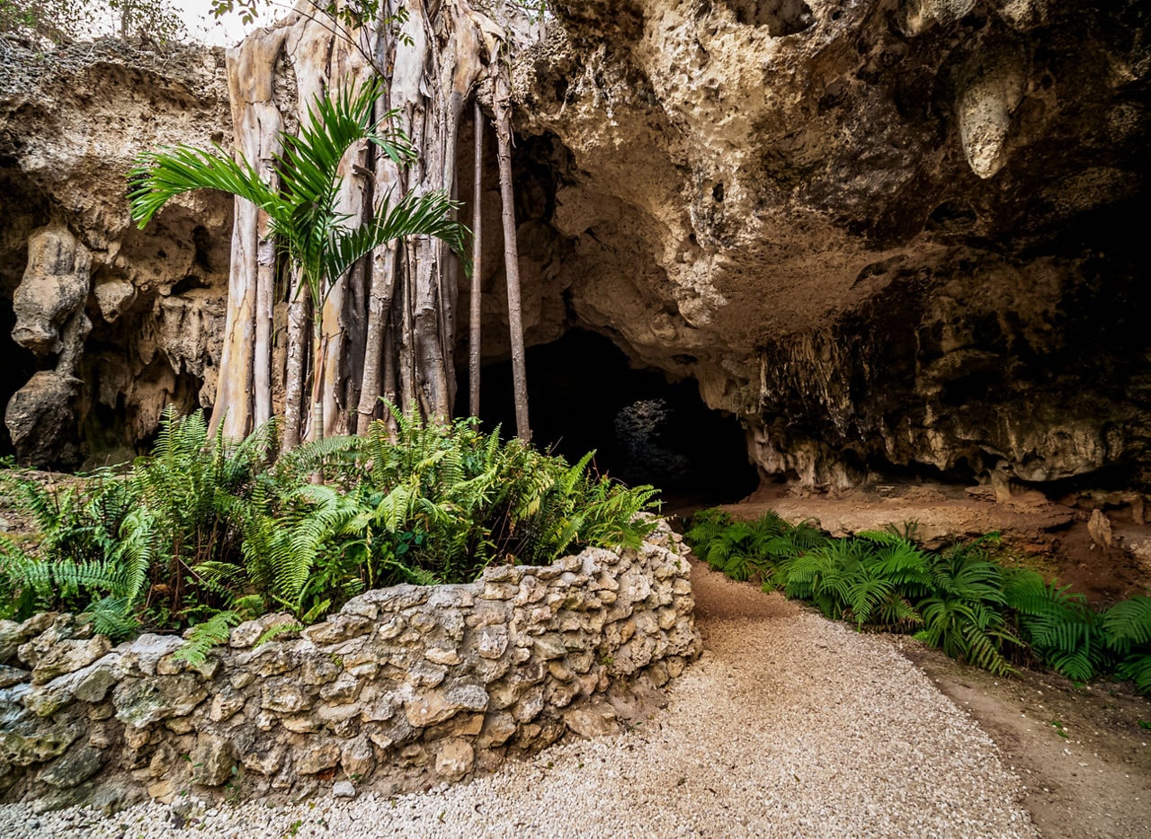 A scenic entrance to Grand Cayman's Crystal Caves, featuring