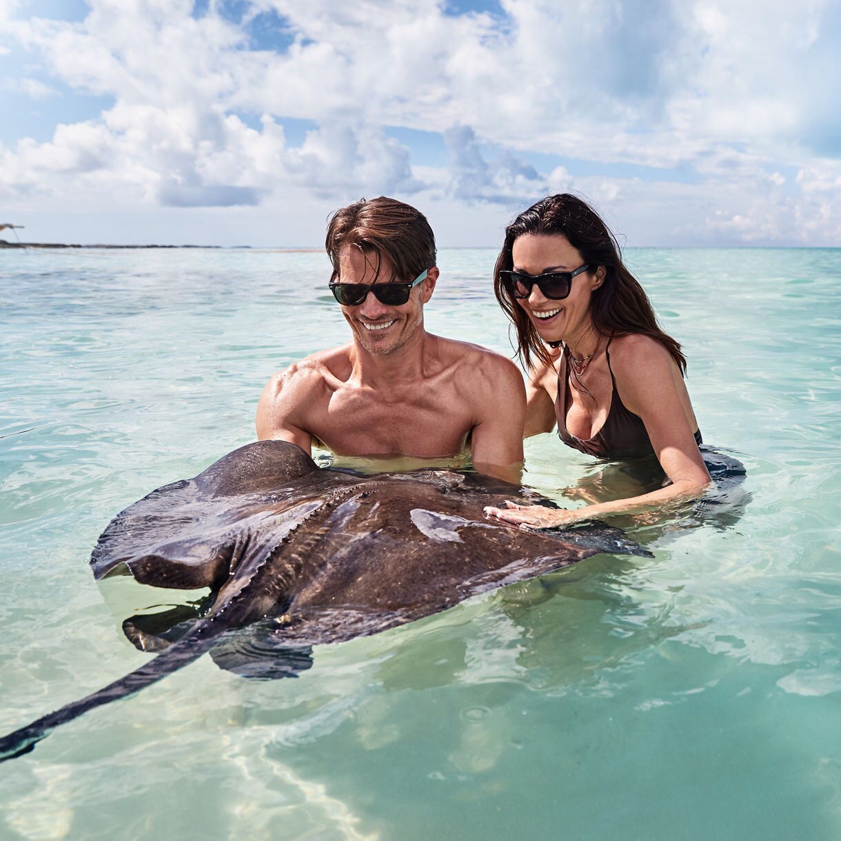 grand turk caribbean couple stingray marine life