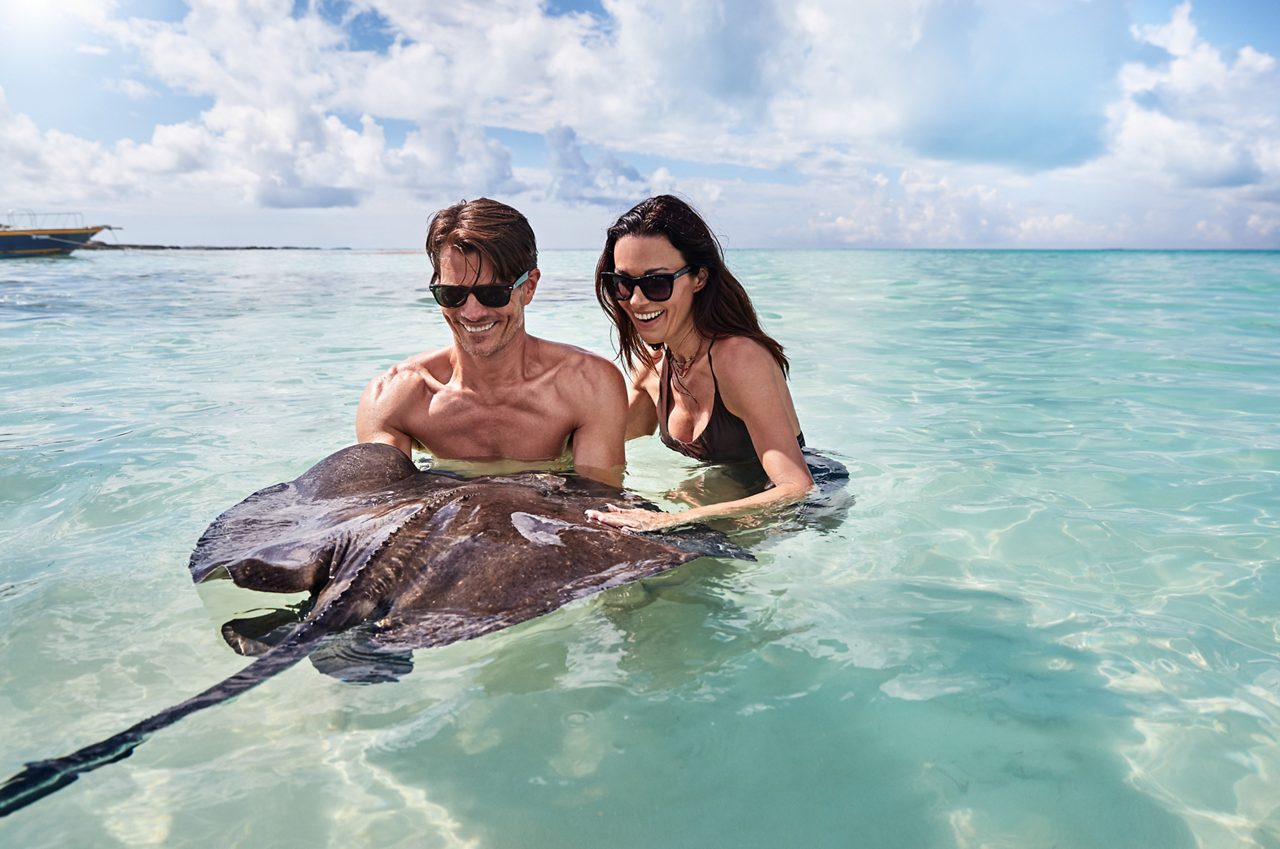 Grand turk caribbean couple stingray marine life