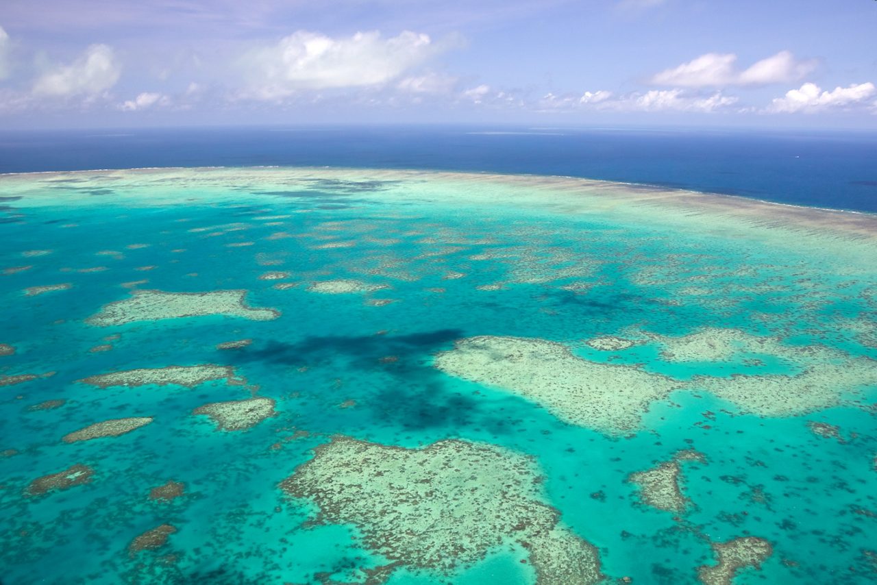 Great Barrier Reef, Queensland, Australia