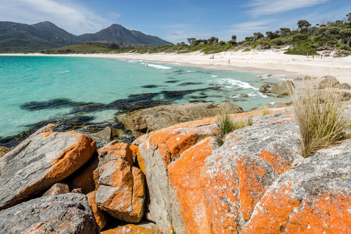 Scenic coastal view at Great Oyster Bay in Freycinet National Park, showing bright orange lichen-covered granite rocks in the foreground, turquoise water with dark seaweed patches, a long white sandy beach and rugged mountains under a blue sky.
