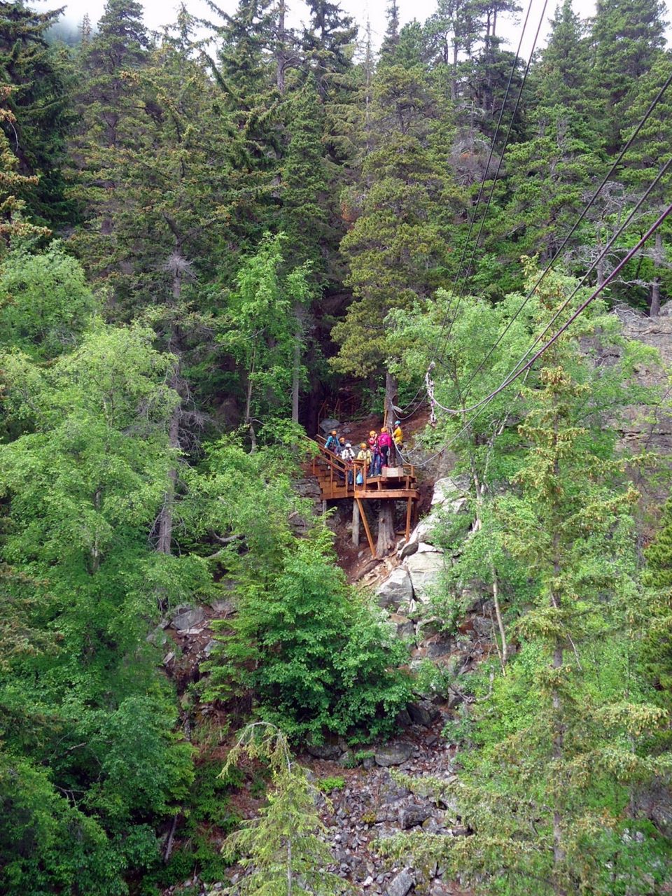 A group of zipliners standing on a wooden platform in a forested area, with trees surrounding them and zipline cables overhead.