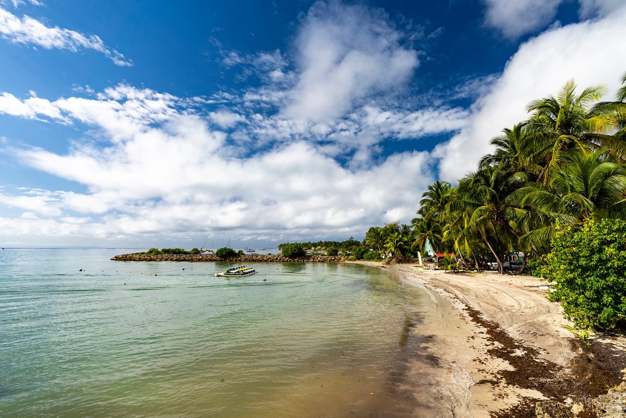 Peaceful Caribbean beach with white sand, palm trees, and turquoise water under partly cloudy sky