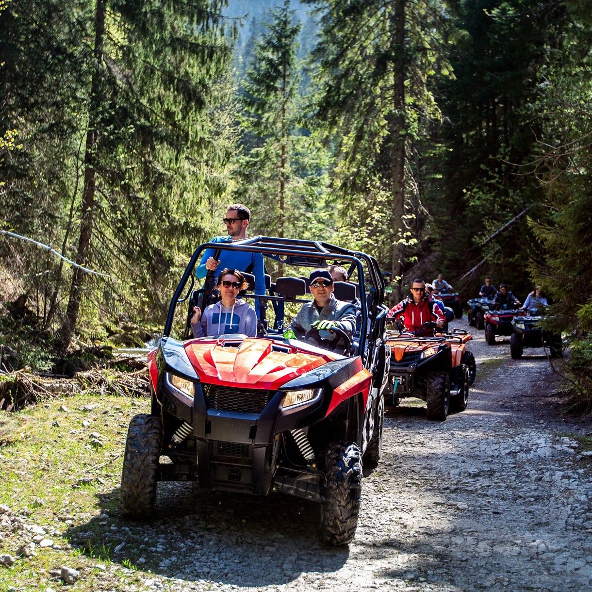 Group of people driving 4x4 off-road vehicles and ATVs along a dirt trail through a dense, sunlit forest in the Takshanuk Mountains near Haines, Alaska.