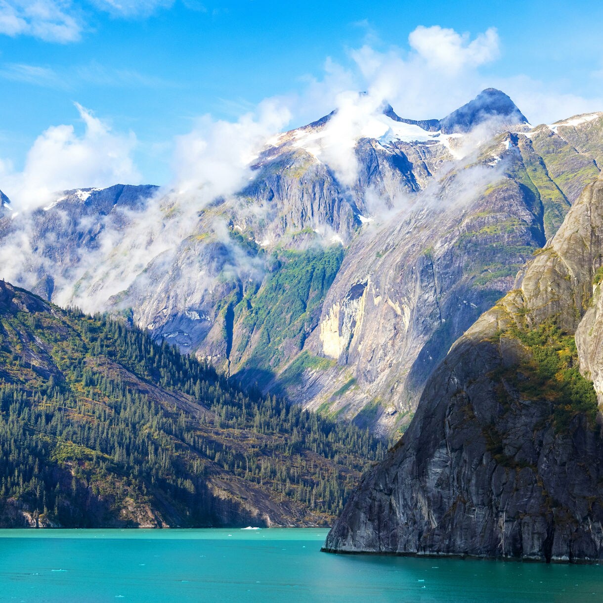 Turquoise water winding through steep rocky fjords, with forested slopes and snow streaked mountain peaks rising into drifting clouds beneath a bright blue sky.