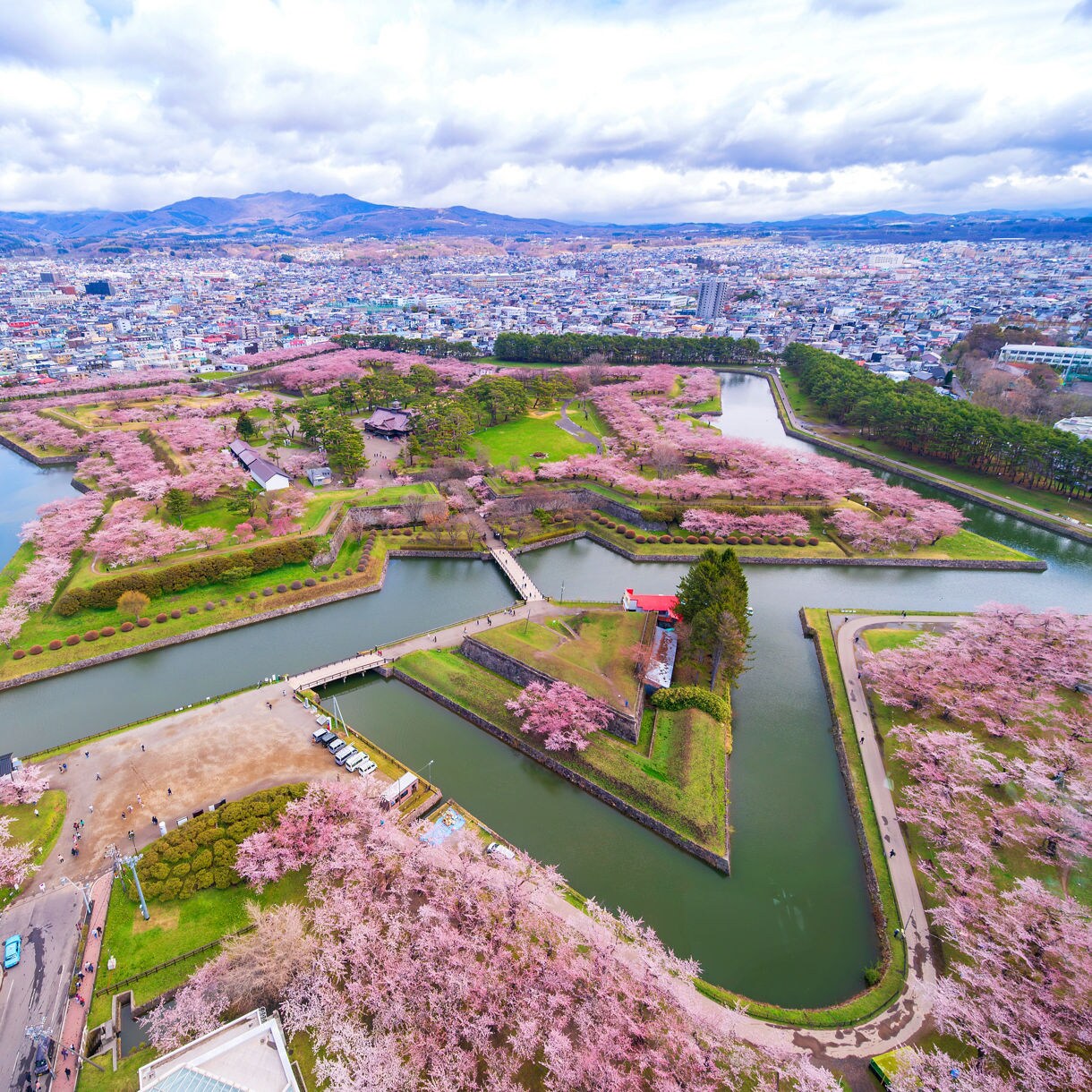 Aerial view of Fort Goryokaku in Hakodate, Japan, a star-shaped fortress surrounded by cherry blossom trees in full bloom, with moats and green lawns bordered by pink petals, set against a backdrop of urban cityscape and distant mountains under a cloudy sky.