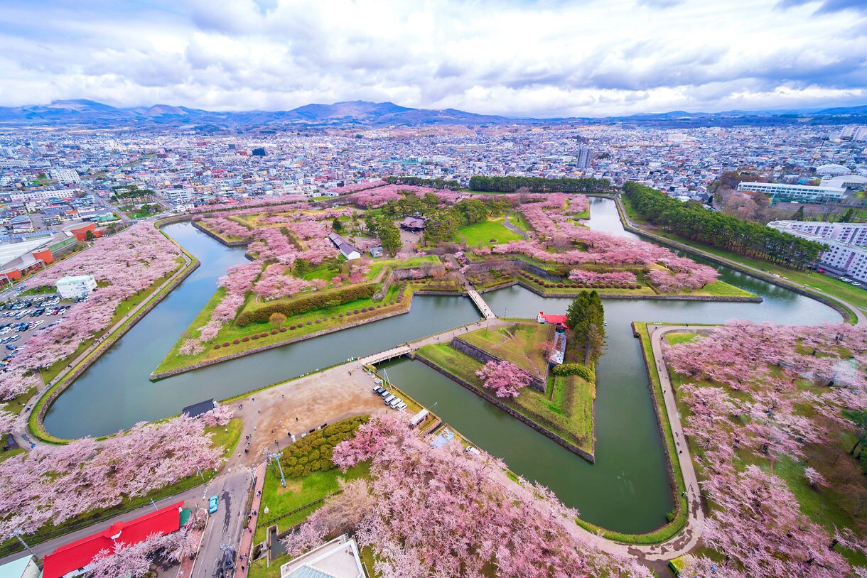 Aerial view of Fort Goryokaku in Hakodate, Japan, a star-shaped fortress surrounded by cherry blossom trees in full bloom, with moats and green lawns bordered by pink petals, set against a backdrop of urban cityscape and distant mountains under a cloudy sky.