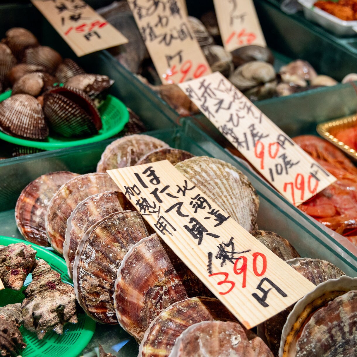Fresh scallops, clams and shrimp on display at Hakodate Morning Market with handwritten price tags in Japanese.