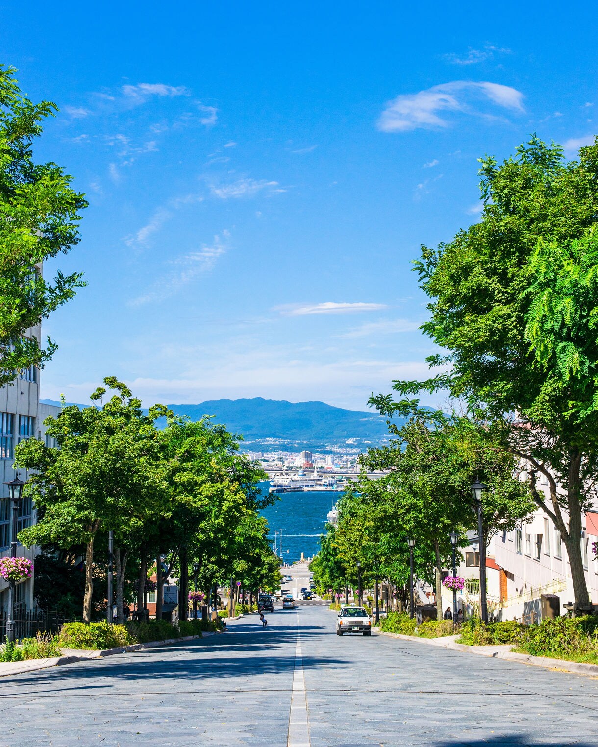 Tree-lined street in Hakodate slopes down toward the bay with mountains in the distance.