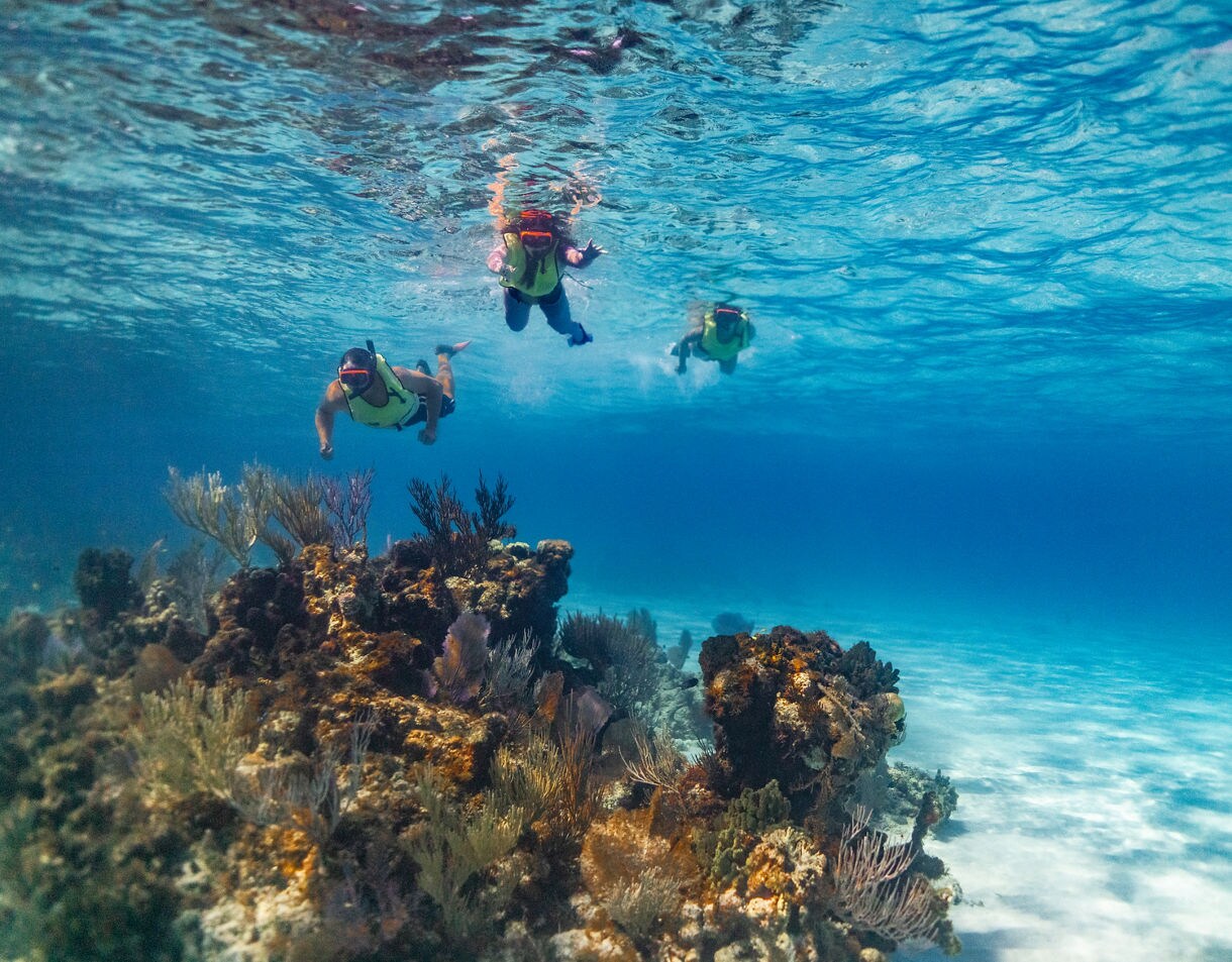 Underwater photo of three snorkelers swimming above colorful coral reef formations in clear blue Caribbean water