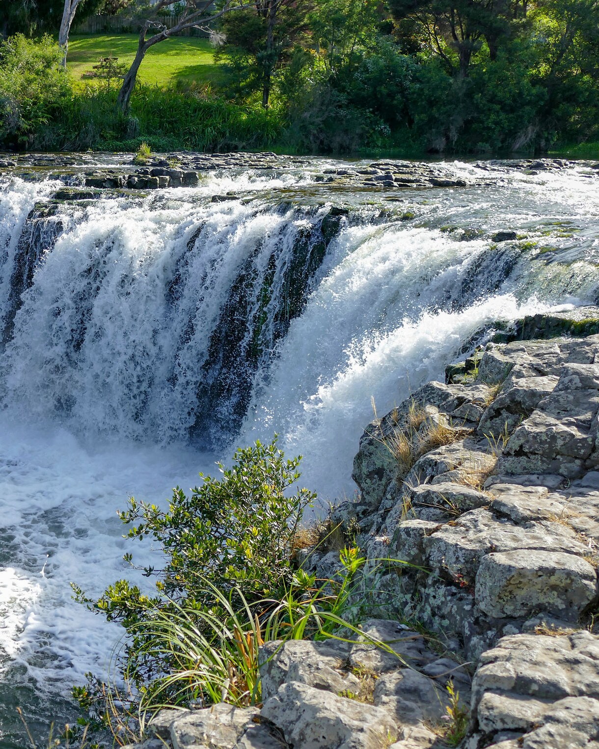 Wide waterfall at Haruru Falls in New Zealand, with foaming water plunging over rock ledges surrounded by green vegetation.