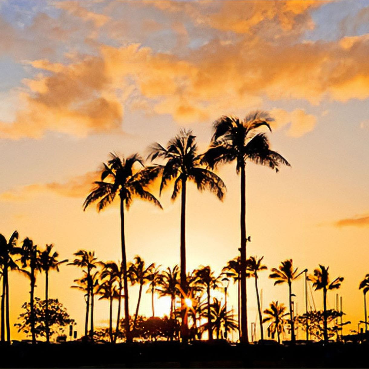 Silhouetted palm trees set against a colorful Hawaiian sunset, with shades of orange and pink filling the sky, creating a peaceful tropical atmosphere. 