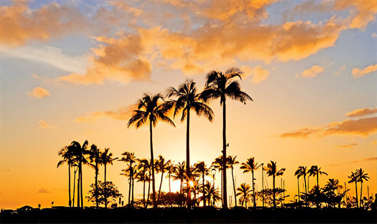 Silhouetted palm trees set against a colorful Hawaiian sunset, with shades of orange and pink filling the sky, creating a peaceful tropical atmosphere.