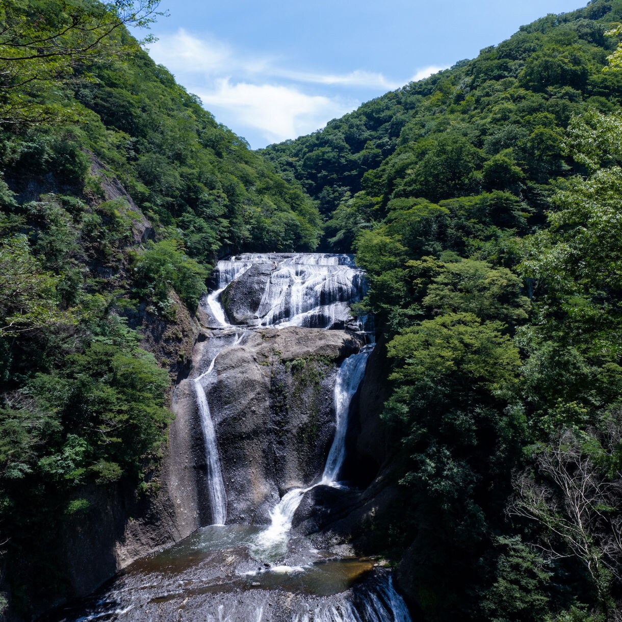 Historical Mito "Tokugawa"