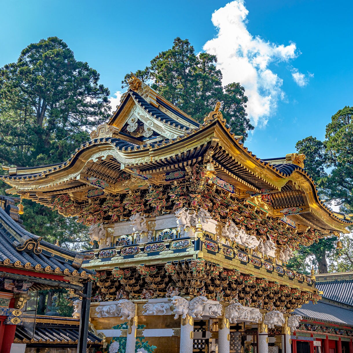 Ornately decorated golden gate at Toshogu Shrine in Nikko, surrounded by traditional rooftops and tall evergreen trees.