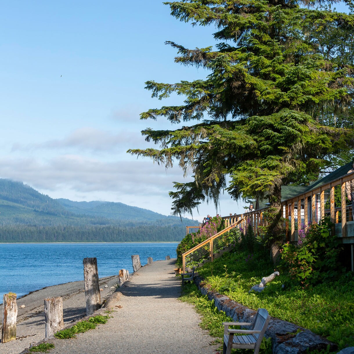 Gravel walking path lined with benches and wooden posts along the shoreline at Icy Strait Point, Alaska with a boardwalk, tall evergreen trees and distant forested mountains across the water.