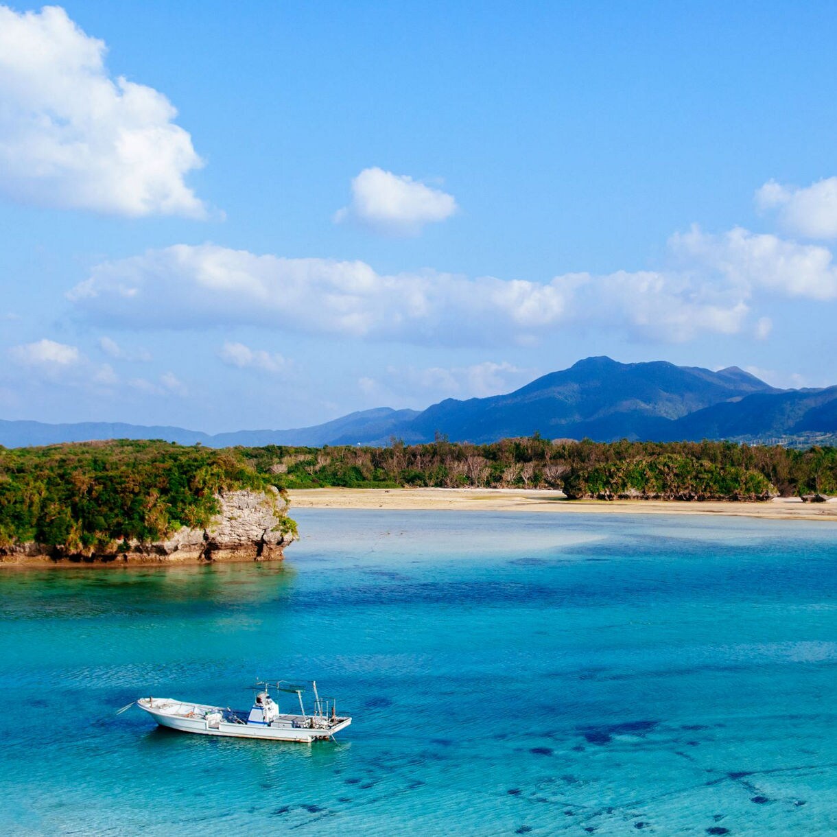 Ishigaki Island Full-Day Tour