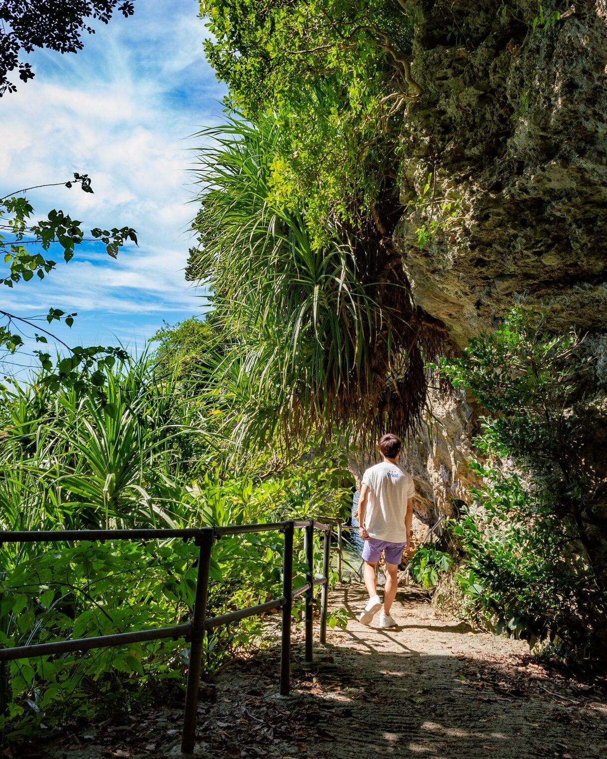 Person walking a tropical path with rocky cliffs and dense green foliage.