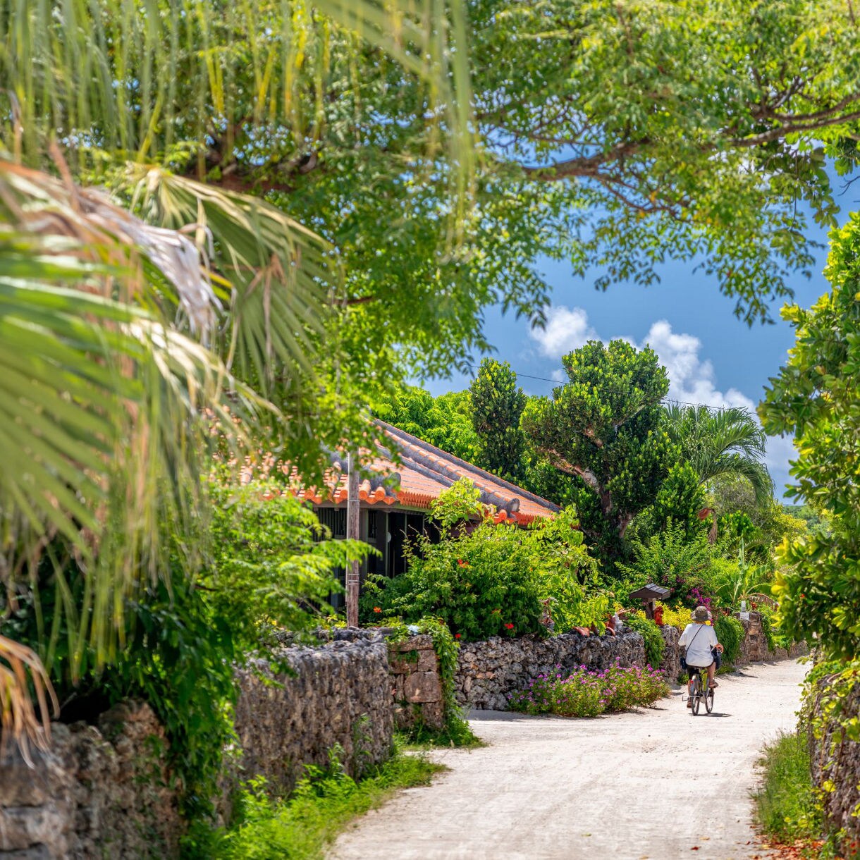 Full-day tour of Ishigaki Island