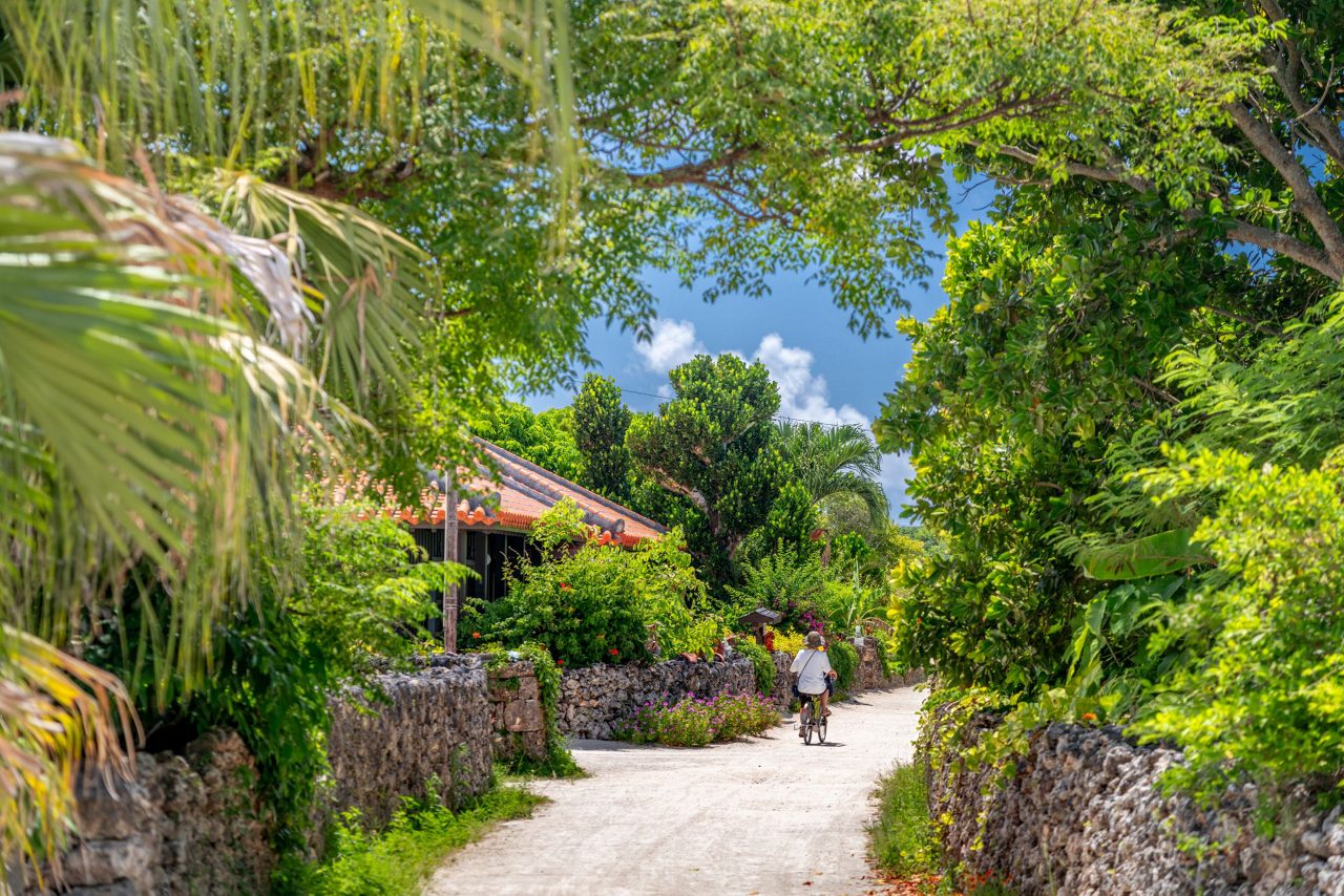 Full-day tour of Ishigaki Island