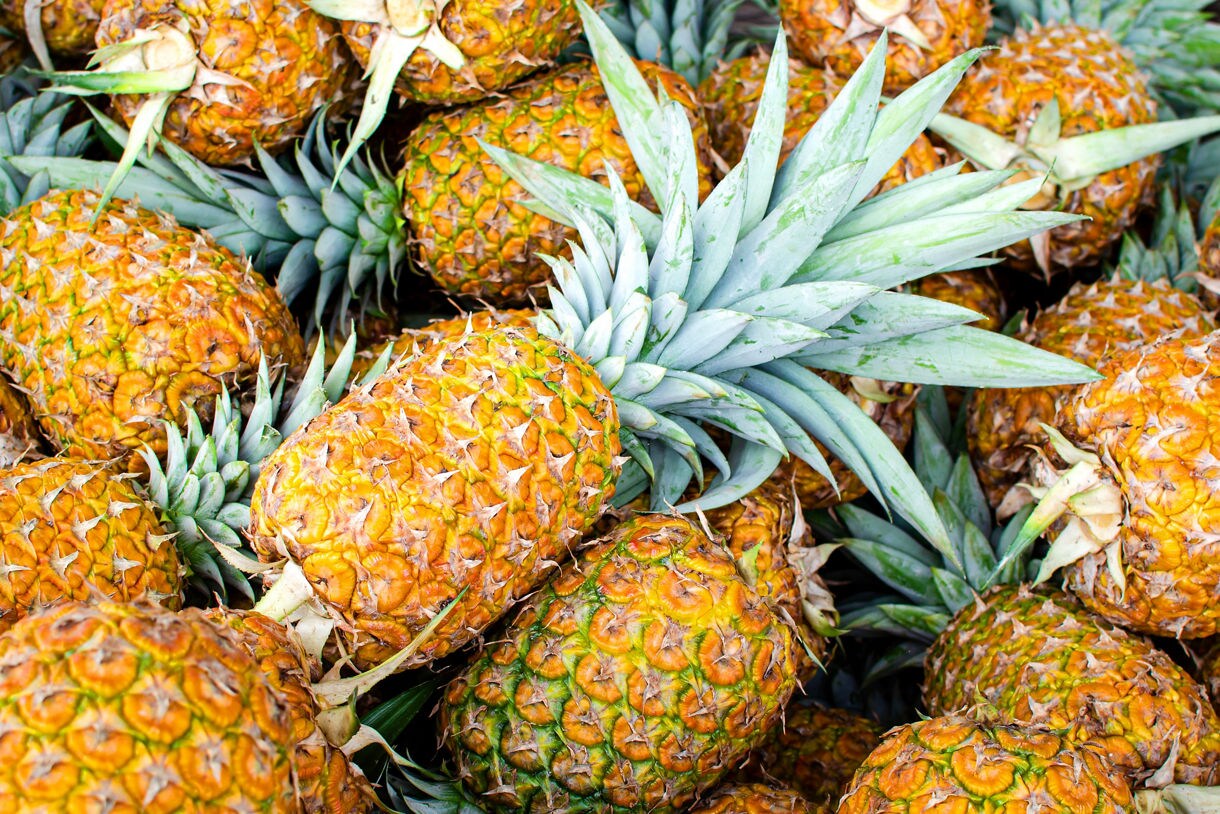 Pile of ripe pineapples with golden skin and spiky green leaves.
