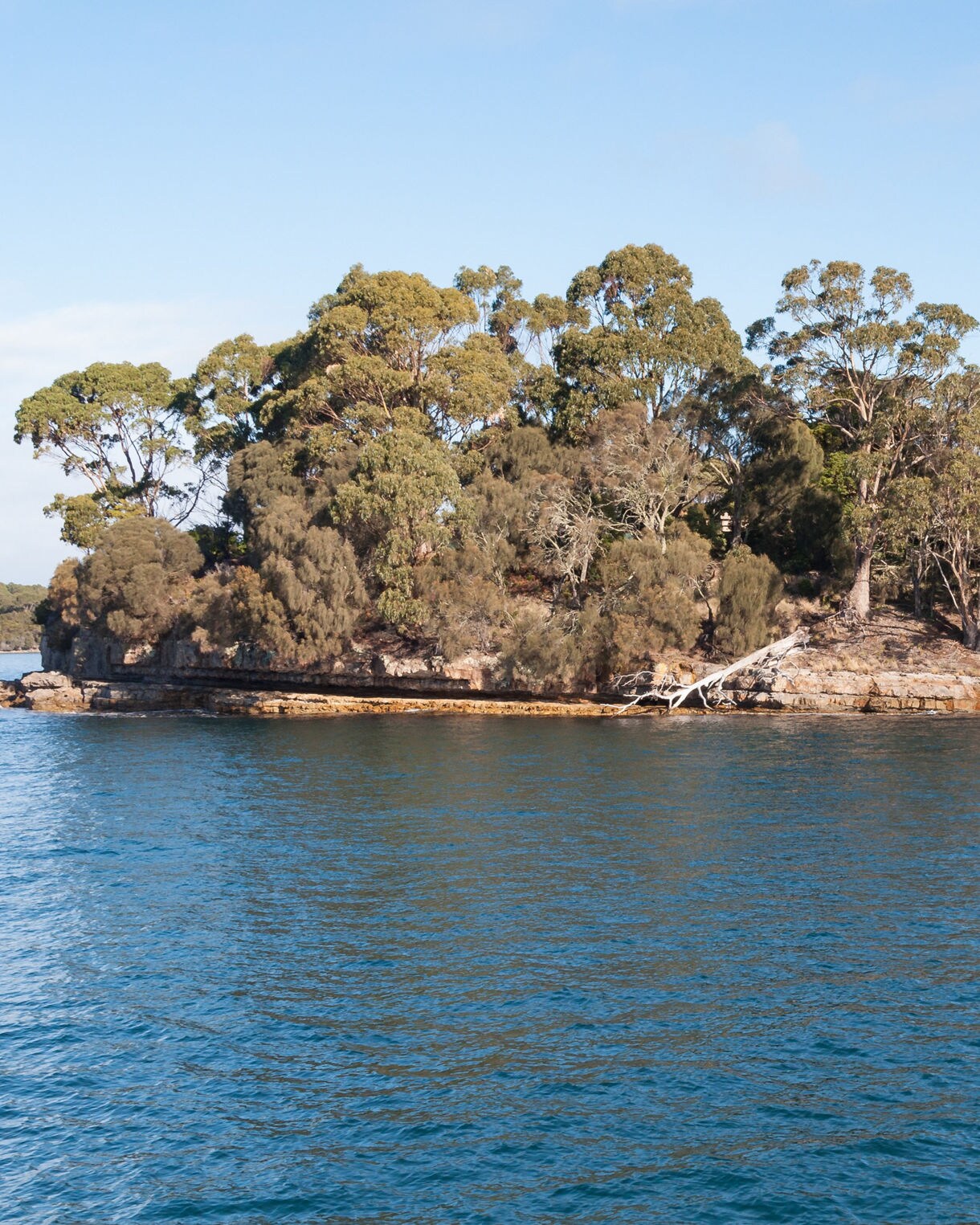 Small tree-covered island surrounded by calm blue water near Port Arthur, with rocky shoreline and distant forested hills under a clear sky.