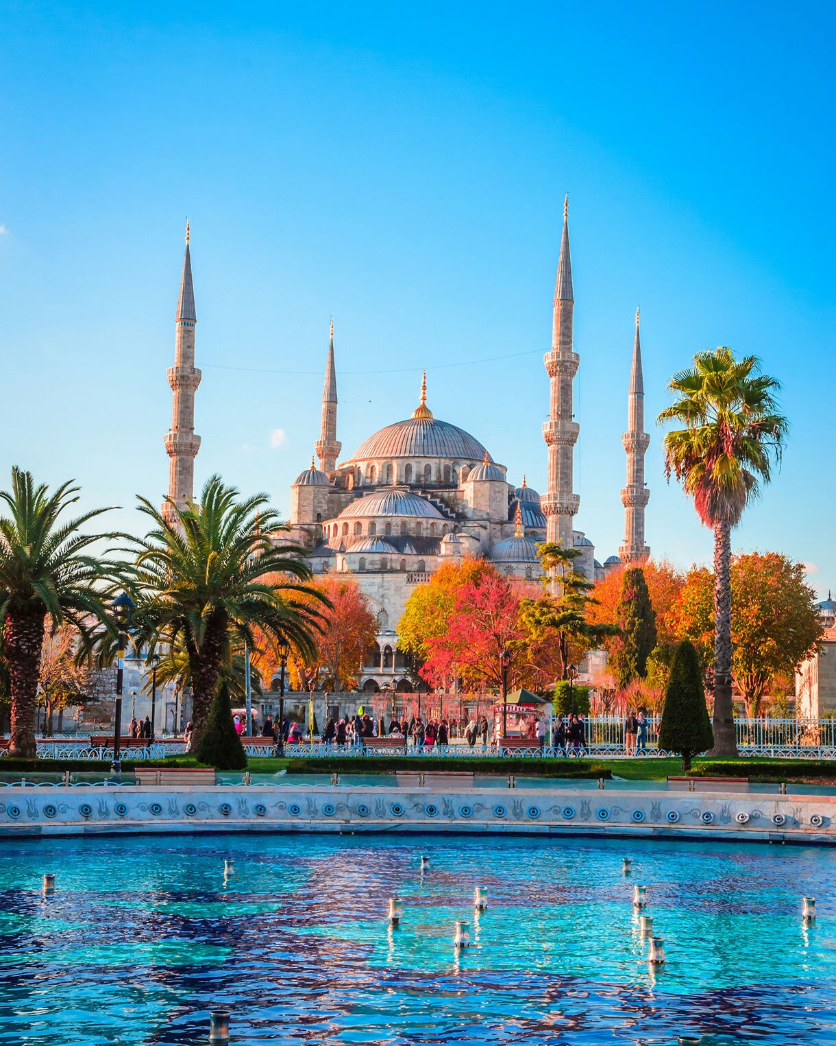 The Blue Mosque framed by palm trees, autumn foliage, and a turquoise fountain in Istanbul.
