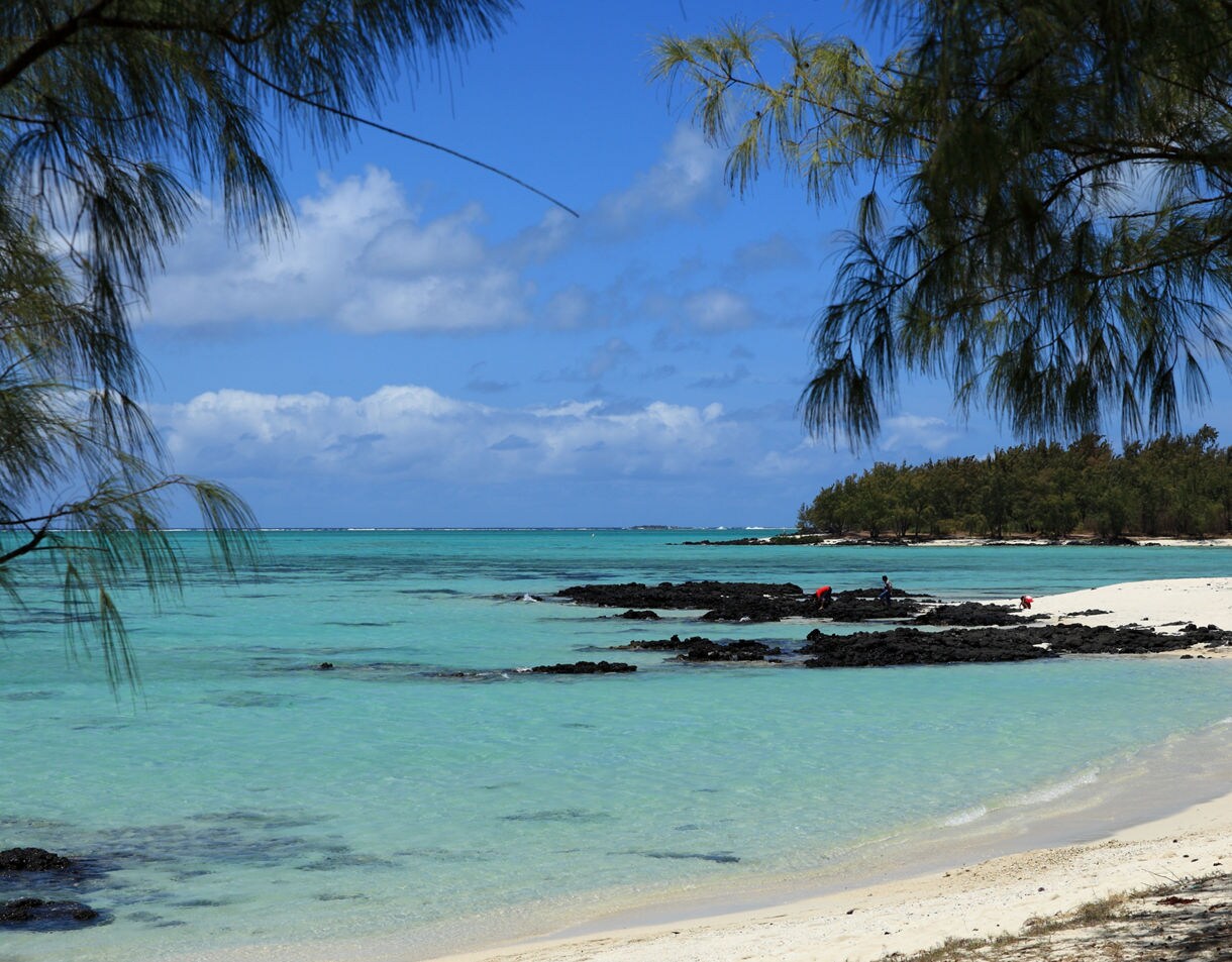 A turquoise lagoon with white sand and black volcanic rocks, framed by trees along the shore.