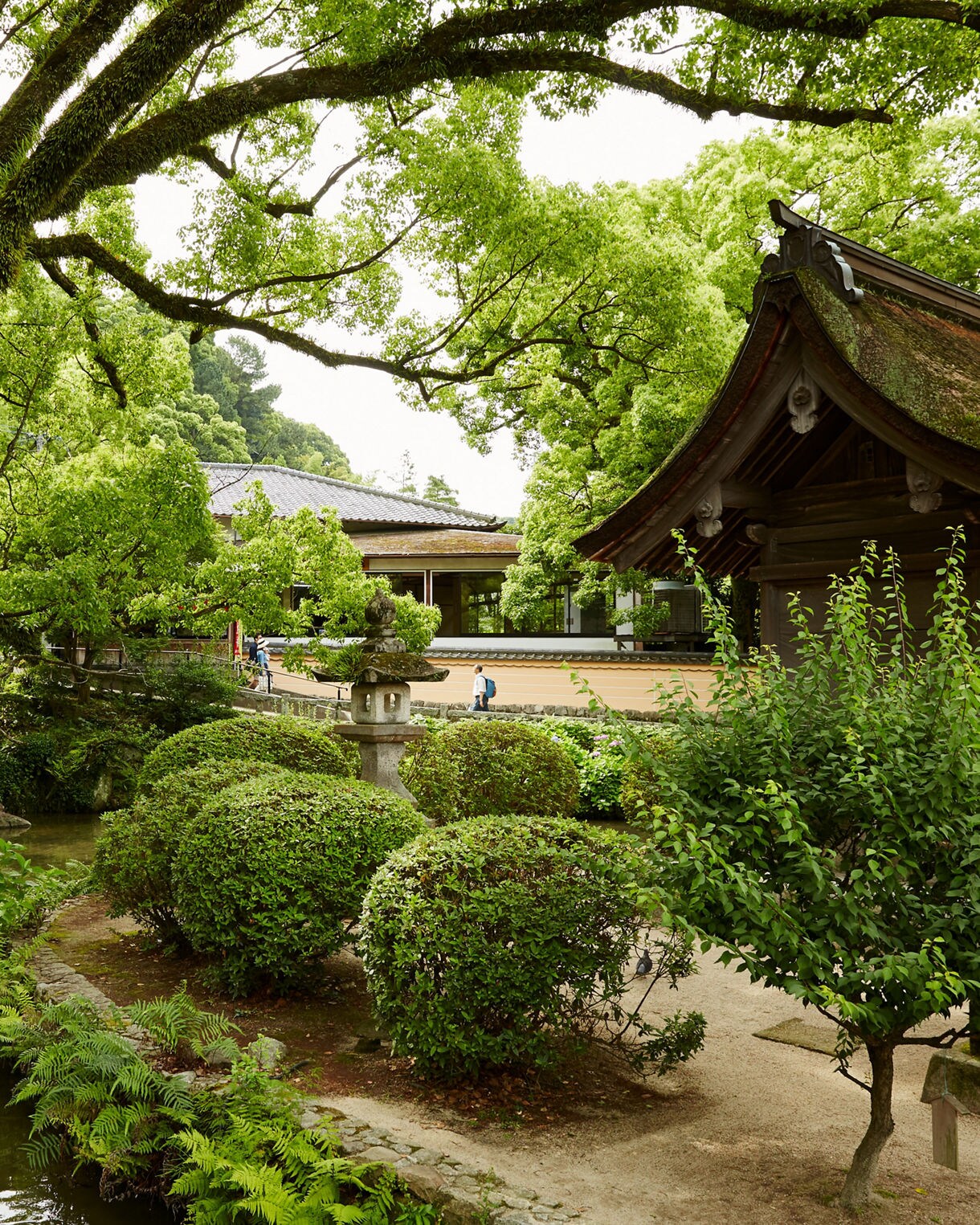 Explore Tokyo's Gardens on a Cruise to Japan