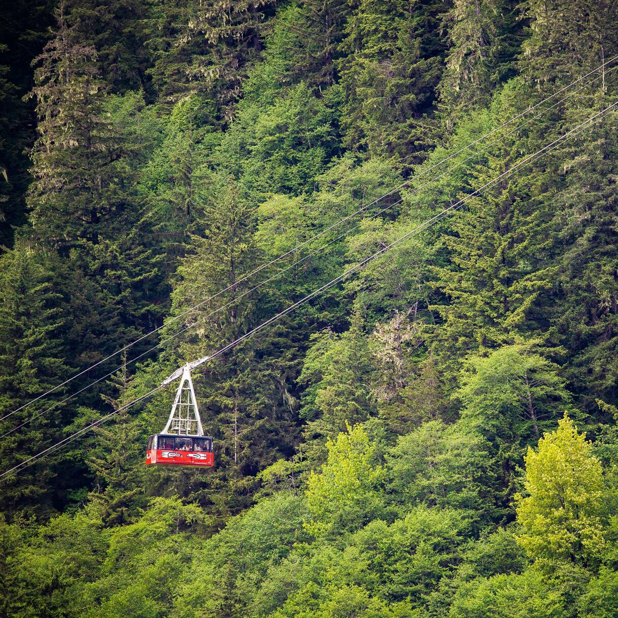 Aerial view of the Goldbelt Tram gliding over dense green trees with a forested mountain backdrop in Juneau, Alaska.
