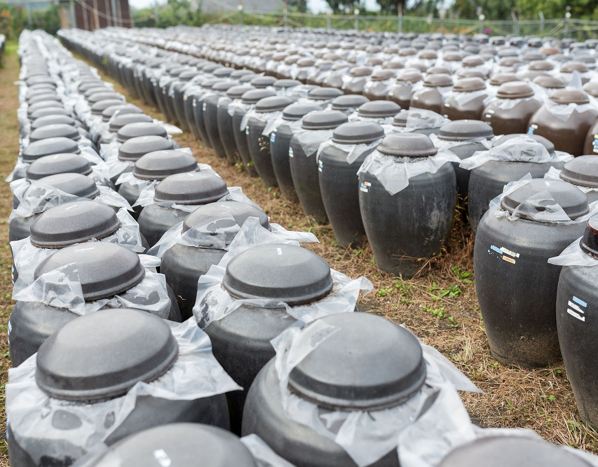 Rows of large black ceramic jars covered with plastic sit on the ground outdoors, used for aging black vinegar in Kagoshima, Japan.