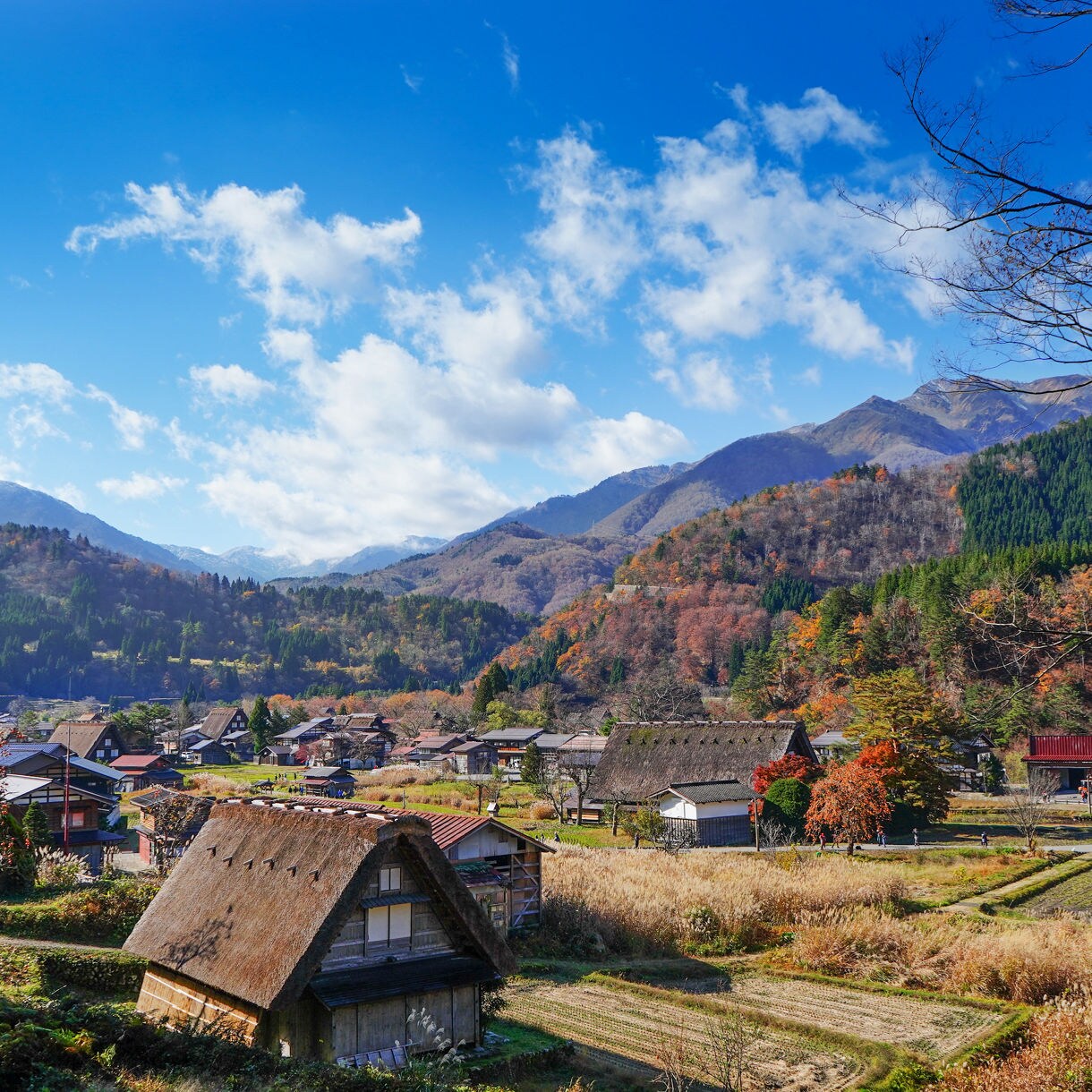 Traditional gassho-zukuri houses with steep thatched roofs in a valley surrounded by forested mountains and autumn colors.
