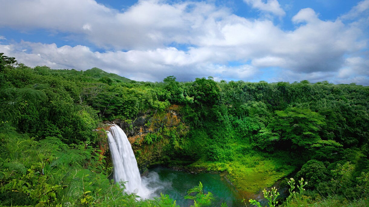 A tall waterfall cascades through lush green tropical vegetation under a partly cloudy sky in Hawaii.