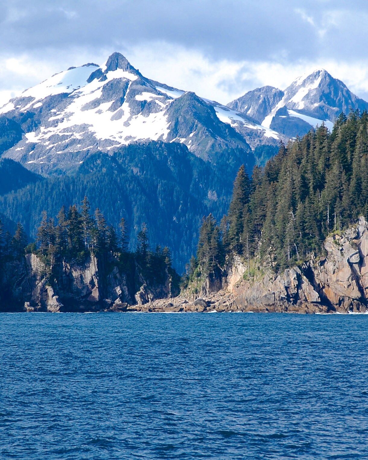 humpback whale breaching