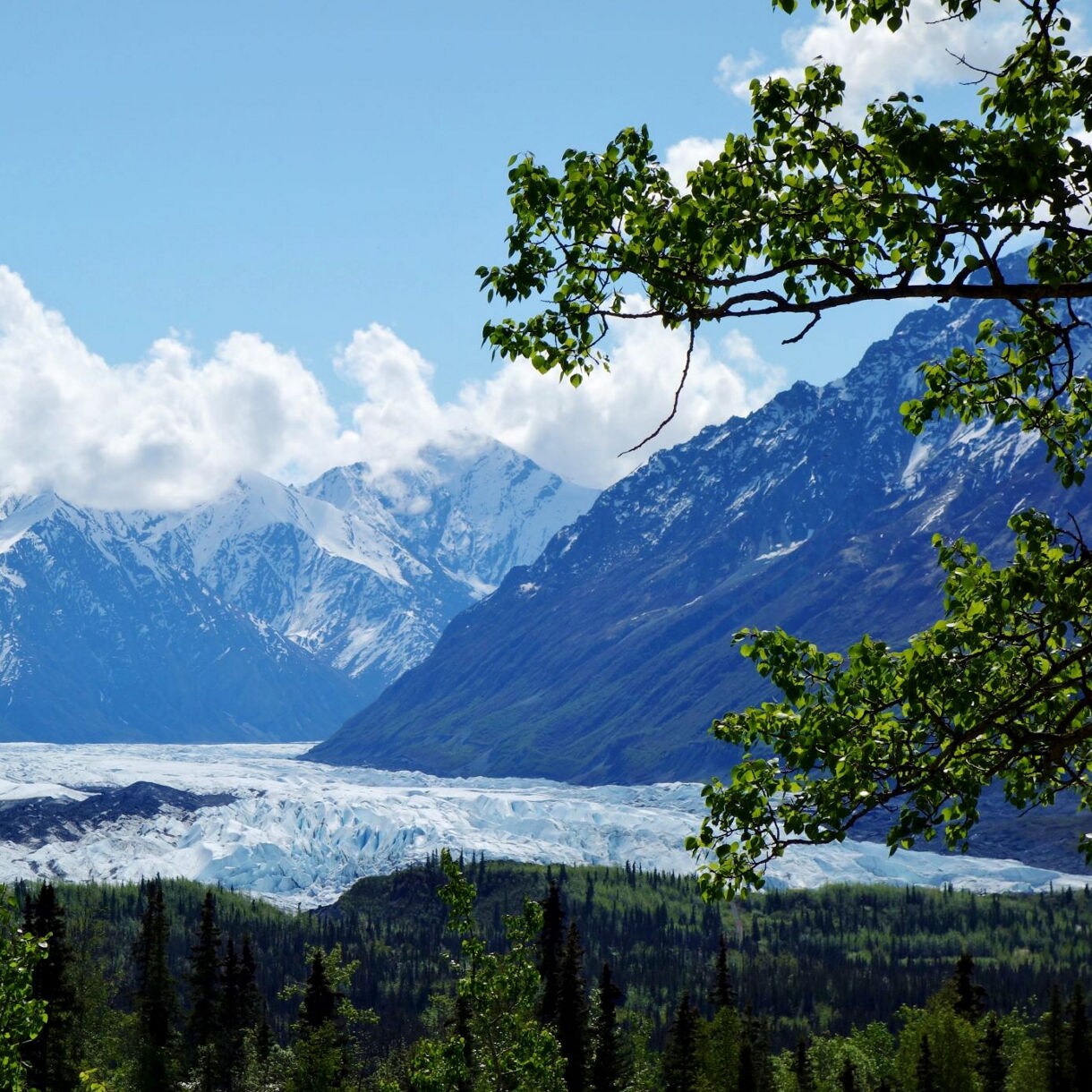 Aerial view of a winding fjord surrounded by forested mountains and snow-capped peaks under a cloudy sky in Juneau, Alaska.