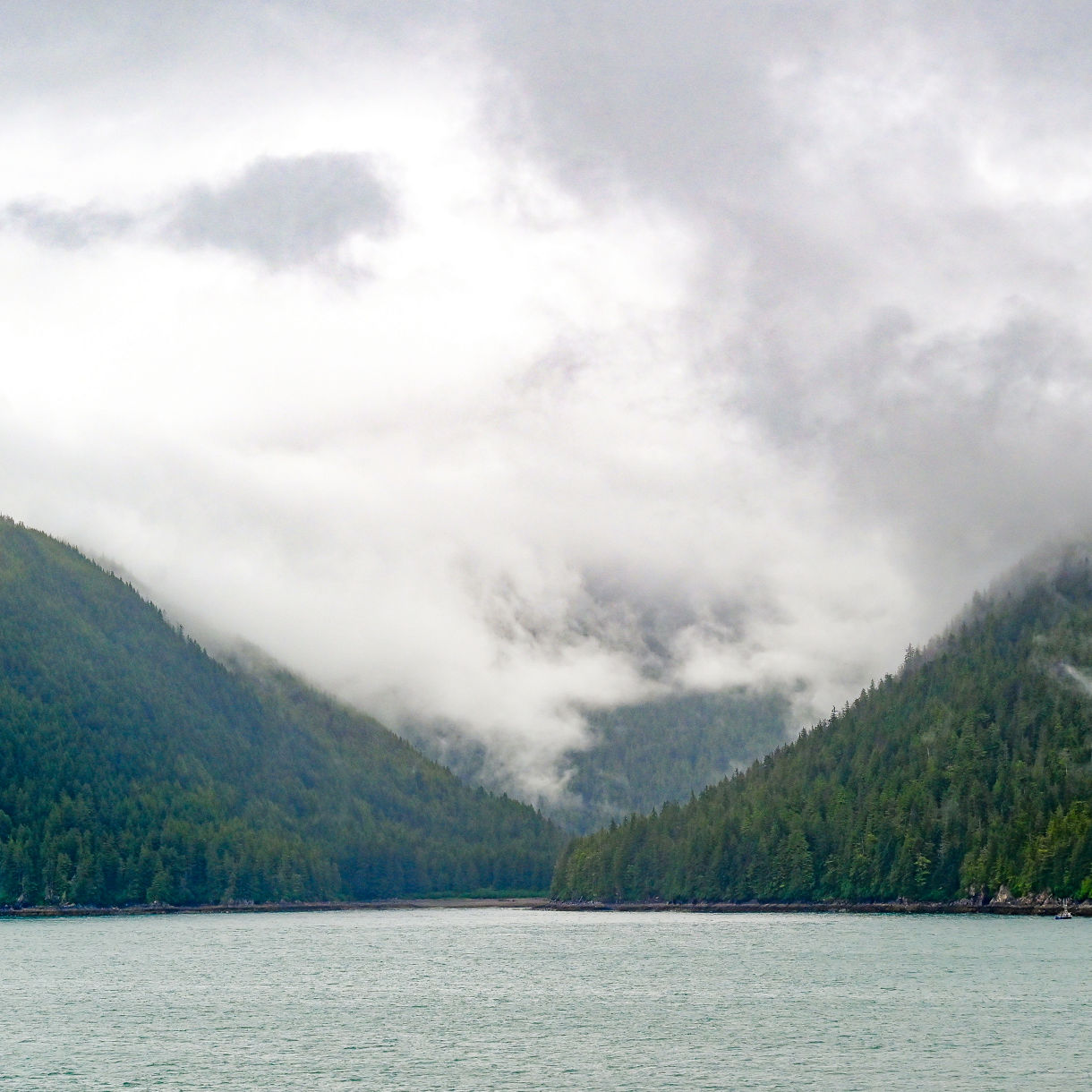 Mist-shrouded mountains and dense green forests surrounding the calm waters of the Misty Fjords in Alaska.